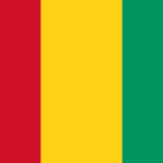 guinean-flag-graphic