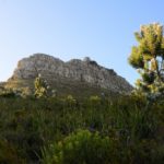 Lion’s Head Rock Kaapstad