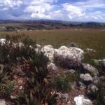 Nyika Plateau Malawi