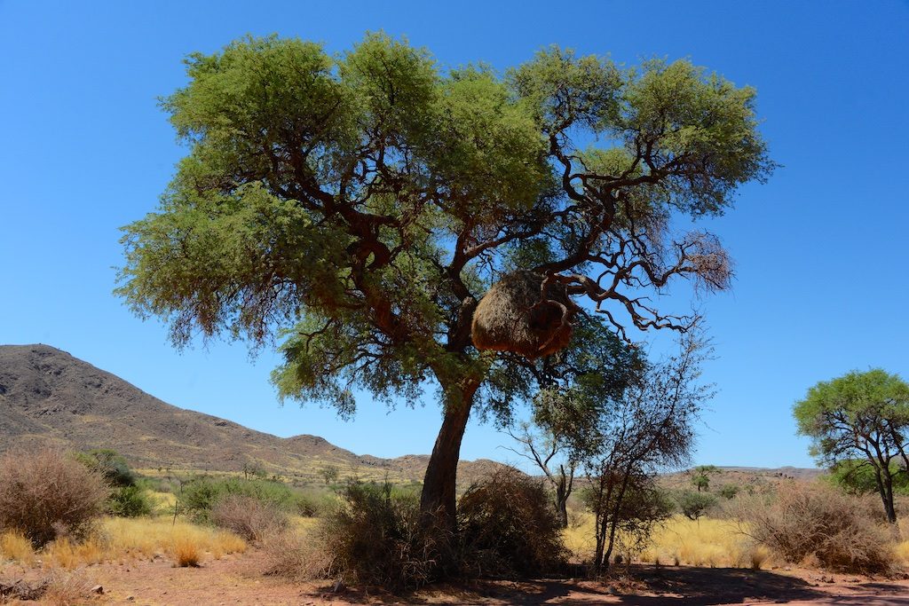 Sesriem Canyon Namibië - Stunningtravel