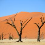 Dodevlei Deadvlei Namibië