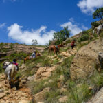 Khotso paardrijden Sehlebathebe Lesotho