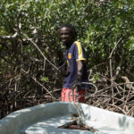 Oussouye Casamance mangrove