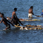 Vissers Banc D’ Arguin mauritanië