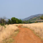 wegen Pilanesberg Zuid Afrika