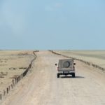 Etosha Namibië stunningtravel wegen