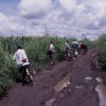 Liwonde national park fietstaxi Malawi