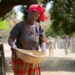 Anna zeeft de rijst in Niafarang Senegal