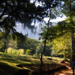 Wandelen op het Zomba Plateau