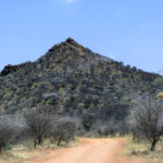 Wegen-in-het-nationale-park-Waterberg