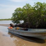 Bao Bolong Wetland reserve per boot