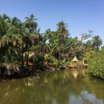 Bintang Bolong Gambia Abcas Creek