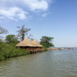 Bintang Bolong Gambia rivier