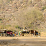 Fulani Bororo Tsjaad dorp
