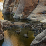 Guelta d’Archei Ennedi kloof