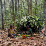 BaAka pygmeeën dorp Centraal Afrikaanse Republiek