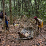 BaAka pygmeeën hut Centraal Afrikaanse Republiek