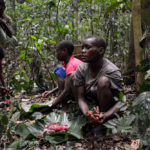 BaAka pygmeeën jacht Centraal Afrikaanse Republiek